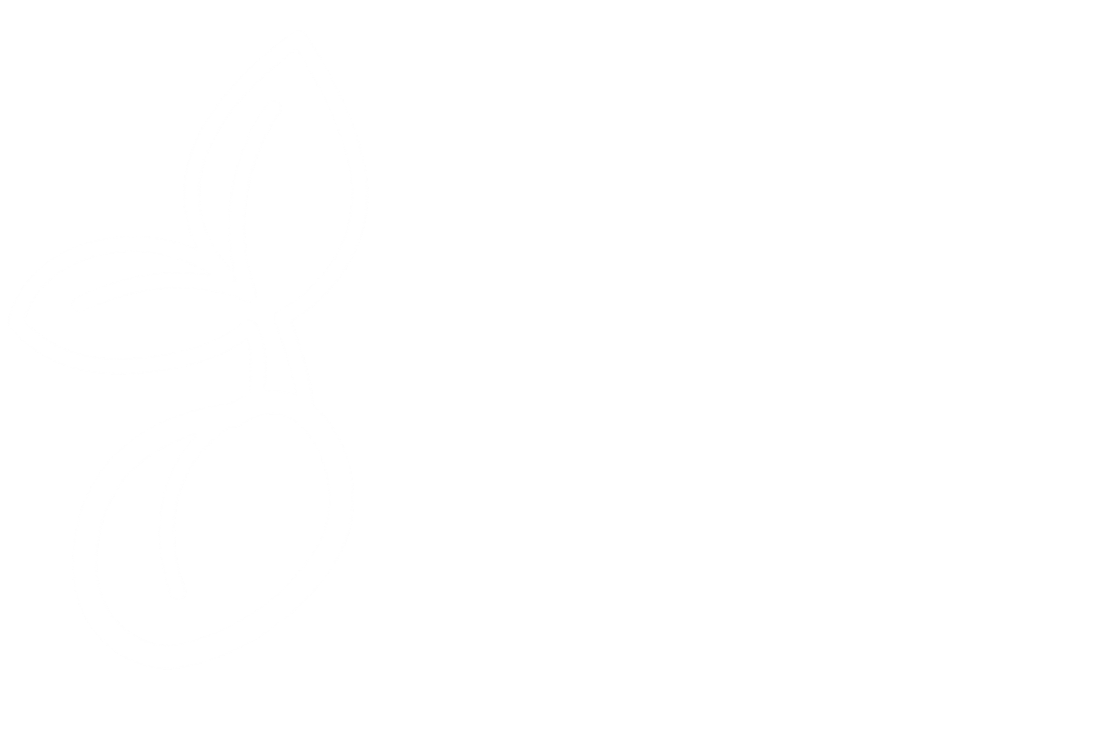 The Brand Seed